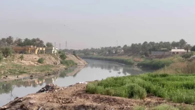 صورة اتحاد الجمعيات الفلاحية في ديالى: تلوث نهر ديالى يفتك بـ 40 ألف دونم من البساتين