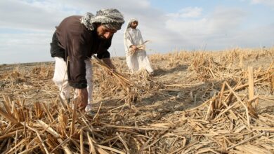 صورة نائب عن ديالى: أزمة الكهرباء والجفاف صنعت أزمة في حياة الأهالي في المحافظة