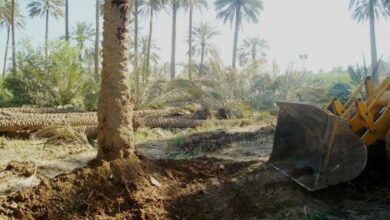 صورة مديرية الدفاع المدني: تجريف أراض زراعية في منطقة البوعيثة جنوبي بغداد