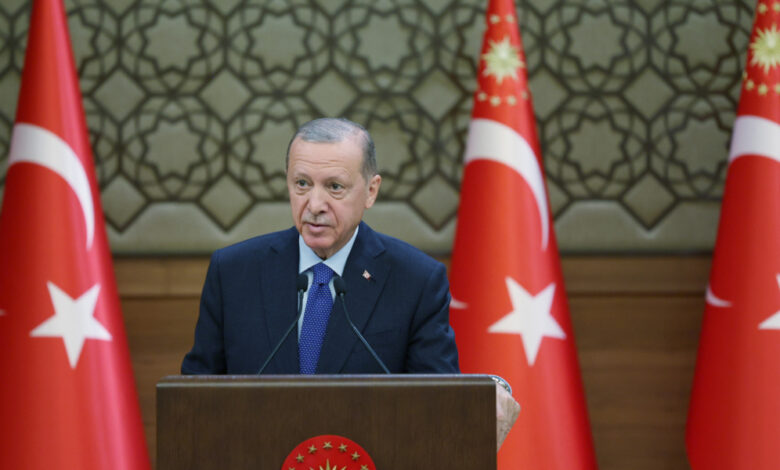 صورة أردوغان: الهجمات على غزة تدل على الإجرام والخلل العقلي لدى منفذيها وداعميها