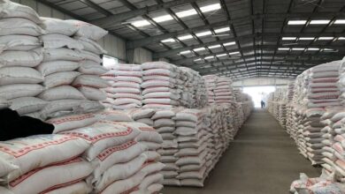 صورة وزارة التجارة الحالية: الكميات المتوفرة من السلة الغذائية في المخازن تكفي لأربعة أشهر فقط