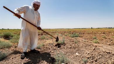 صورة الجمعيات الفلاحية: الجفاف شل استثمار مليون دونم في ديالى