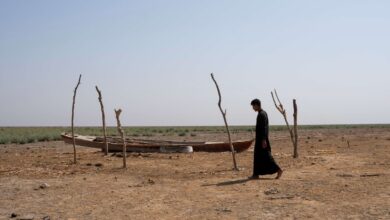 صورة سكان الأهوار يعيشون محن المعيشة والجفاف والتهجير وانعدام فرص العمل