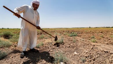 صورة المجلس النرويجي للاجئين: 60% من فلاحي العراق يعانون من الجفاف وتقلص زراعتهم