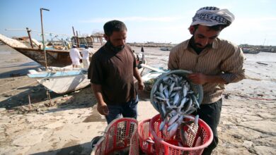 صورة الأمم المتحدة: خسائر العراق من الثروة السمكية تقدّر بنحو 400 مليون دولار سنويًا