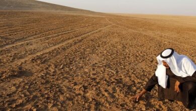صورة لجنة حقوق الإنسان النيابية: التصحر يتسع بشكل مخيف يهدد الأمن الغذائي