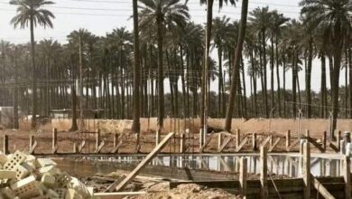 صورة لجنة الإعمار النيابية: تأخر التشريعات الخاصة بفرز الأراضي الزراعية يعرقل الإعمار