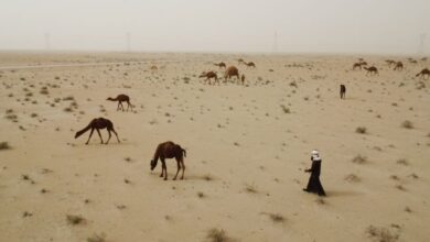 صورة صفقات الغاز والكهرباء الفاسدة تحول دون استثمار الطاقة النظيفة في العراق