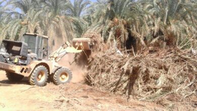 صورة ضباط متنفذون يديرون جرائم تجريف أراضي زراعية في البصرة