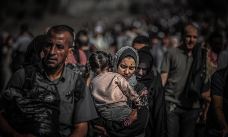 صورة نازحون من جنوبي غزة يجبرون على الرحيل بعد اقتحام مستشفى ناصر في خان يونس