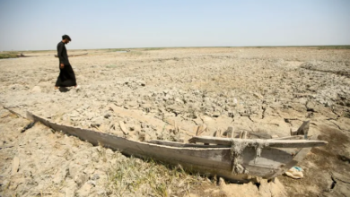 صورة ناشطون بيئيون: أهوار الجبايش بذي قار خسرت نحو 1400 عائلة بسبب الجفاف