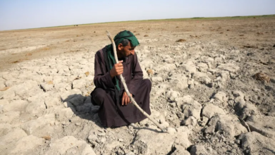 صورة دائرة الهجرة في ذي قار: نزوح أكثر من 10 آلاف عائلة بسبب الجفاف