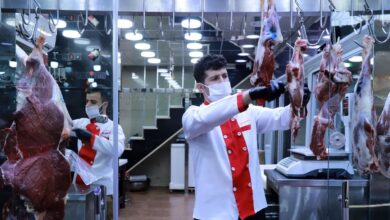 صورة خبراء اقتصاديون: أسعار اللحوم الحمراء تواصل ارتفاعها غير المسبوق في العراق