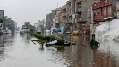 صورة الأهوار النيابية: كميات الأمطار التي شهدتها البلاد لا ترقى إلى مستوى الطموح