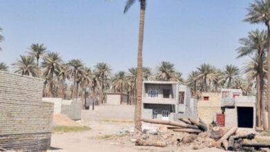 صورة وزارة الزراعة تنفي أي توجه جديد يتعلق بتغيير جنس الأراضي من زراعي إلى سكني