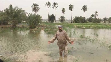 صورة خبراء زراعيون: السيول قد تكون ملوثة والعراق يفتقر لسدود لحصد مياه الأمطار