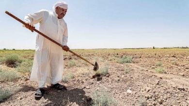 صورة وزارة الزراعة: أعوام الشح المائي عطلت 50 بالمائة من أراضي البلاد الزراعية
