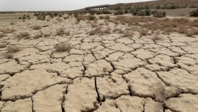 صورة مزارعو القادسية يشكون شح المياه المتوفرة للزراعة ويهددون بترك مهنتهم وأراضيهم