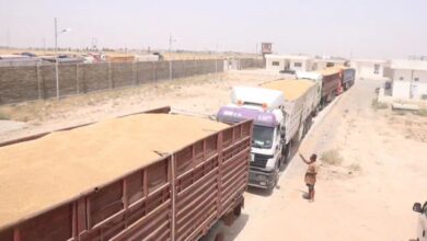 صورة محافظة ميسان: بدء تسويق محصول الحنطة للموسم الحالي في المحافظة