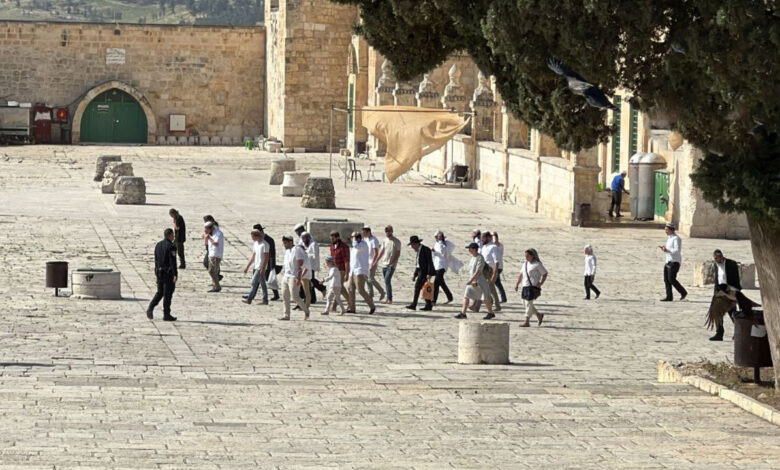 صورة مئات المستوطنين المتطرفين يقتحمون باحات المسجد الأقصى المبارك