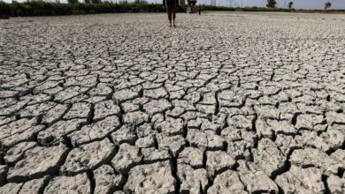 صورة مساع حكومية متأخرة للحد من خطر الجفاف المحدق بالعراق