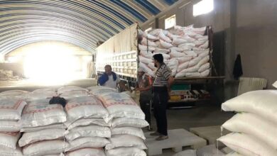 صورة وزارة الزراعة الأمريكية: العراق في المرتبة الخامسة كأكبر مستورد للرز