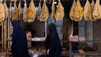 صورة موائد العراقيين بلا أسماك بعد ارتفاع أسعارها وندرتها في بلاد النهرين