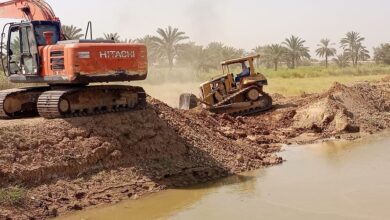 صورة الجمعية العراقية لمنتجي الأسماك تنتقد غياب الخطط الحكومية لتقنين البحيرات بدلاً من ردمها