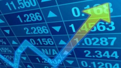 صورة ارتفاع الأرباح الصافية لشركة نادك بنسبة 71.8 % في الربع الثاني من العام الحالي