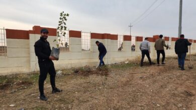 صورة خبراء زراعة وبيئة في ديالى: فشل حملات التشجير التطوعية والحكومية نتيجة إهمالها وعدم سقيها