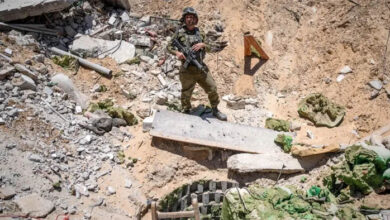 صورة أراض خصبة في غزة ذهبت مع وحشية الحرب وتدمير جيش الاحتلال