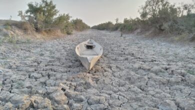 صورة لجنة الزراعة والمياه والأهوار النيابية: نزوح الآلاف من مربي الحيوانات إلى المدن بسبب الجفاف في العراق