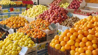 صورة غرفة إيران التجارية: العراق أولاً بقائمة المستوردين للمنتجات الزراعية من إيران