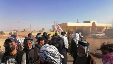 صورة تظاهرات في ذي قار لإنقاذ نخيل قضاء “سيد دخيل” بعد أن قتلها العطش