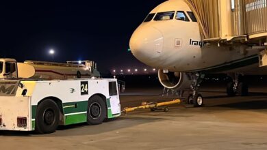 صورة الطائر العراقي الأخضر يحلق بجناح مكسور