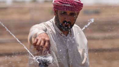 صورة فلاحون عراقيون يقامون تآكل أراضيهم لإنقاذ زراعة رز العنبر