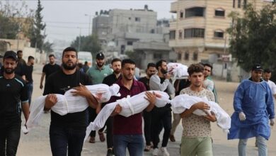 صورة تحذيرات من وصول عدد القتلى في غزة إلى نصف مليون حال استمرار الوضع الحالي