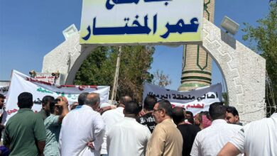 صورة أراضي الدولة والمواطنين والأوقاف عرضة للسيطرة والاستلاب