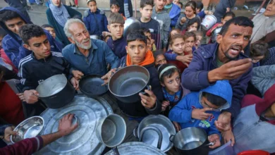 صورة منظمة فاو: أزمة الغذاء في قطاع غزة هي “الأسوأ” في تاريخ تقارير المنظمة