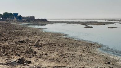 صورة قلة الأمطار وغلق الآبار التدفقية يسببان انخفاضًا كبيرًا في منسوب بحر النجف