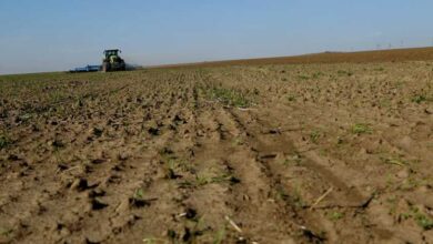 صورة أرض زراعية تشعل نزاعًا عنيفًا بين عشيرتين في محافظة ذي قار