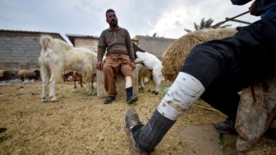 صورة أربعة ملايين معاق في العراق يعيشون التهميش والإهمال والفاقة