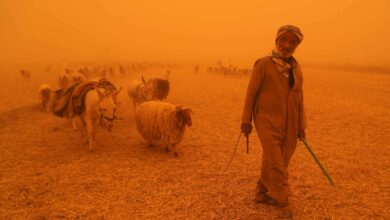 صورة العواصف الترابية انعكاس واضح للإهمال البيئي في العراق