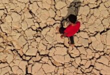 صورة صمت حكومي مطبق أمام جفاف واندثار أهوار العراق