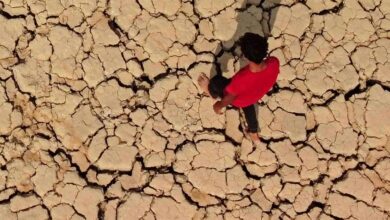 صورة صمت حكومي مطبق أمام جفاف واندثار أهوار العراق