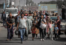 صورة منظمة الهجرة الدولية: لن نشارك في أي نوع قسري لإخلاء الفلسطينيين من غزة