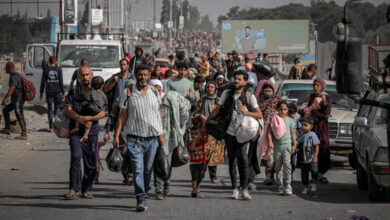 صورة منظمة الهجرة الدولية: لن نشارك في أي نوع قسري لإخلاء الفلسطينيين من غزة