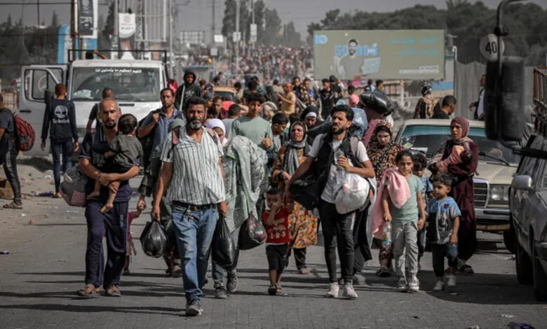 صورة منظمة الهجرة الدولية: لن نشارك في أي نوع قسري لإخلاء الفلسطينيين من غزة