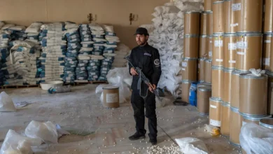 صورة الإدارة السورية تشن حملة في منطقة القصير بحمص لمكافحة تهريب المخدرات